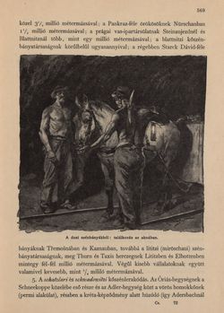 Bild der Seite - 569 - in Az Osztrák-Magyar Monarchia írásban és képben - Csehország II (2), Band 15/2