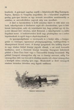 Image of the Page - 16 - in Az Osztrák-Magyar Monarchia írásban és képben - Magyarország IV (1), Volume 16/1