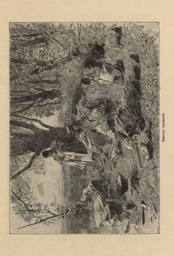 Image of the Page - 199 - in Az Osztrák-Magyar Monarchia írásban és képben - Magyarország IV (1), Volume 16/1