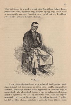 Bild der Seite - 253 - in Az Osztrák-Magyar Monarchia írásban és képben - Magyarország IV (1), Band 16/1