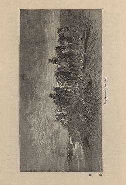 Image of the Page - 273 - in Az Osztrák-Magyar Monarchia írásban és képben - Magyarország IV (1), Volume 16/1