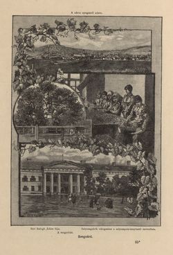 Image of the Page - 275 - in Az Osztrák-Magyar Monarchia írásban és képben - Magyarország IV (1), Volume 16/1