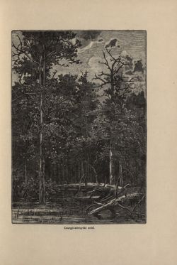 Bild der Seite - 309 - in Az Osztrák-Magyar Monarchia írásban és képben - Magyarország IV (2), Band 16/2