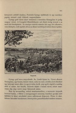 Bild der Seite - 311 - in Az Osztrák-Magyar Monarchia írásban és képben - Magyarország IV (2), Band 16/2