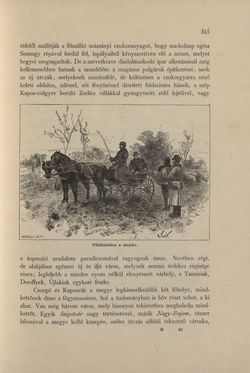 Bild der Seite - 313 - in Az Osztrák-Magyar Monarchia írásban és képben - Magyarország IV (2), Band 16/2