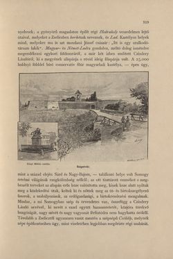 Bild der Seite - 319 - in Az Osztrák-Magyar Monarchia írásban és képben - Magyarország IV (2), Band 16/2