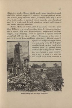 Image of the Page - 351 - in Az Osztrák-Magyar Monarchia írásban és képben - Magyarország IV (2), Volume 16/2