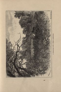 Bild der Seite - 355 - in Az Osztrák-Magyar Monarchia írásban és képben - Magyarország IV (2), Band 16/2