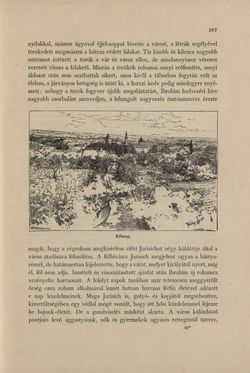 Bild der Seite - 387 - in Az Osztrák-Magyar Monarchia írásban és képben - Magyarország IV (2), Band 16/2