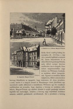 Image of the Page - 447 - in Az Osztrák-Magyar Monarchia írásban és képben - Magyarország IV (2), Volume 16/2