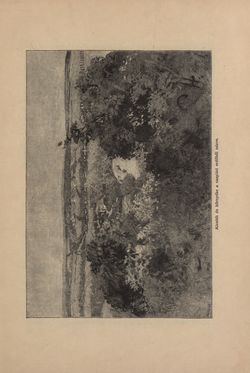 Image of the Page - 565 - in Az Osztrák-Magyar Monarchia írásban és képben - Magyarország IV (2), Volume 16/2