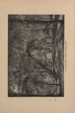 Bild der Seite - 569 - in Az Osztrák-Magyar Monarchia írásban és képben - Magyarország IV (2), Band 16/2