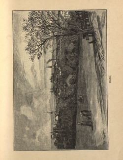 Image of the Page - 45 - in Az Osztrák-Magyar Monarchia írásban és képben - Morvaország és Szilézia (Morvaország), Volume 17/1