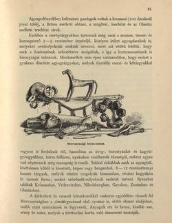 Image of the Page - 61 - in Az Osztrák-Magyar Monarchia írásban és képben - Morvaország és Szilézia (Morvaország), Volume 17/1