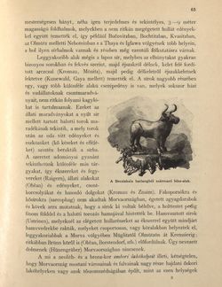Bild der Seite - 65 - in Az Osztrák-Magyar Monarchia írásban és képben - Morvaország és Szilézia (Morvaország), Band 17/1