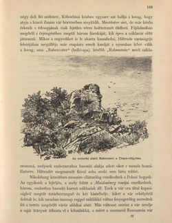 Bild der Seite - 169 - in Az Osztrák-Magyar Monarchia írásban és képben - Morvaország és Szilézia (Morvaország), Band 17/1