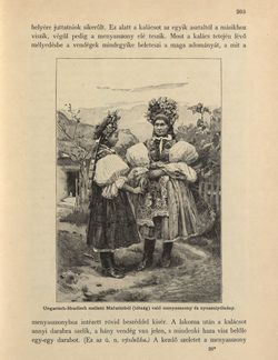 Image of the Page - 203 - in Az Osztrák-Magyar Monarchia írásban és képben - Morvaország és Szilézia (Morvaország), Volume 17/1