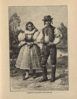 Image of the Page - 221 - in Az Osztrák-Magyar Monarchia írásban és képben - Morvaország és Szilézia (Morvaország), Volume 17/1