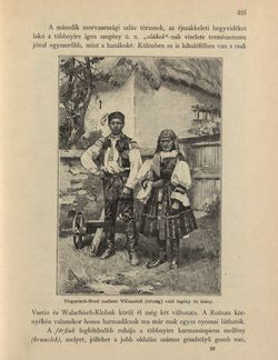 Image of the Page - 225 - in Az Osztrák-Magyar Monarchia írásban és képben - Morvaország és Szilézia (Morvaország), Volume 17/1