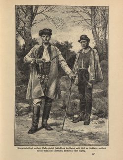 Image of the Page - 227 - in Az Osztrák-Magyar Monarchia írásban és képben - Morvaország és Szilézia (Morvaország), Volume 17/1