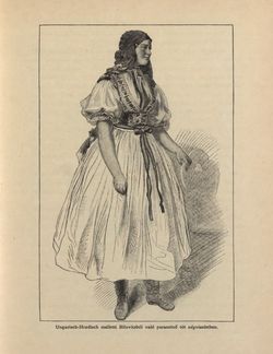 Image of the Page - 229 - in Az Osztrák-Magyar Monarchia írásban és képben - Morvaország és Szilézia (Morvaország), Volume 17/1