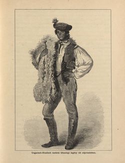 Image of the Page - 231 - in Az Osztrák-Magyar Monarchia írásban és képben - Morvaország és Szilézia (Morvaország), Volume 17/1