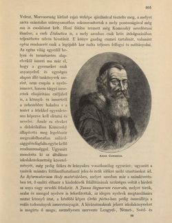 Image of the Page - 305 - in Az Osztrák-Magyar Monarchia írásban és képben - Morvaország és Szilézia (Morvaország), Volume 17/1