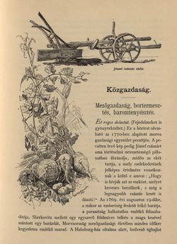 Image of the Page - 405 - in Az Osztrák-Magyar Monarchia írásban és képben - Morvaország és Szilézia (Szilézia), Volume 17/2