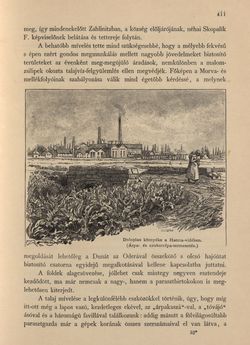 Image of the Page - 411 - in Az Osztrák-Magyar Monarchia írásban és képben - Morvaország és Szilézia (Szilézia), Volume 17/2