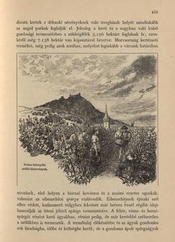 Bild der Seite - 415 - in Az Osztrák-Magyar Monarchia írásban és képben - Morvaország és Szilézia (Szilézia), Band 17/2