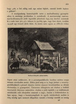 Image of the Page - 419 - in Az Osztrák-Magyar Monarchia írásban és képben - Morvaország és Szilézia (Szilézia), Volume 17/2