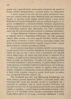 Bild der Seite - 480 - in Az Osztrák-Magyar Monarchia írásban és képben - Morvaország és Szilézia (Szilézia), Band 17/2
