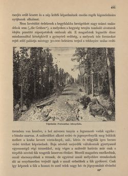 Image of the Page - 491 - in Az Osztrák-Magyar Monarchia írásban és képben - Morvaország és Szilézia (Szilézia), Volume 17/2