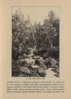 Image of the Page - 493 - in Az Osztrák-Magyar Monarchia írásban és képben - Morvaország és Szilézia (Szilézia), Volume 17/2