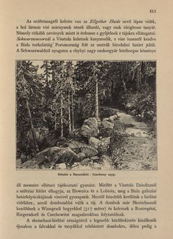 Image of the Page - 511 - in Az Osztrák-Magyar Monarchia írásban és képben - Morvaország és Szilézia (Szilézia), Volume 17/2