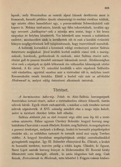 Image of the Page - 525 - in Az Osztrák-Magyar Monarchia írásban és képben - Morvaország és Szilézia (Szilézia), Volume 17/2