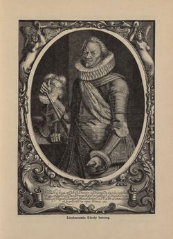 Image of the Page - 535 - in Az Osztrák-Magyar Monarchia írásban és képben - Morvaország és Szilézia (Szilézia), Volume 17/2