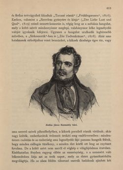 Bild der Seite - 613 - in Az Osztrák-Magyar Monarchia írásban és képben - Morvaország és Szilézia (Szilézia), Band 17/2