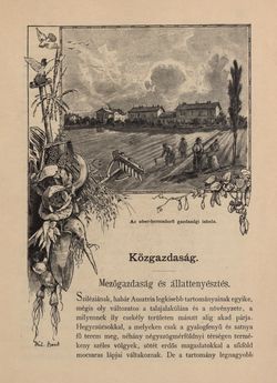 Bild der Seite - 653 - in Az Osztrák-Magyar Monarchia írásban és képben - Morvaország és Szilézia (Szilézia), Band 17/2