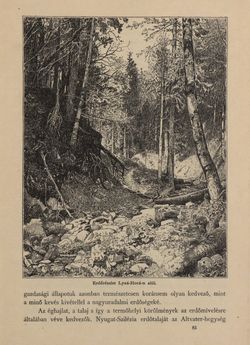 Bild der Seite - 673 - in Az Osztrák-Magyar Monarchia írásban és képben - Morvaország és Szilézia (Szilézia), Band 17/2