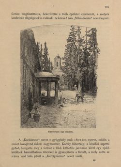 Image of the Page - 705 - in Az Osztrák-Magyar Monarchia írásban és képben - Morvaország és Szilézia (Szilézia), Volume 17/2