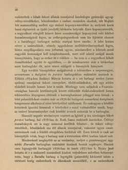 Image of the Page - 20 - in Az Osztrák-Magyar Monarchia írásban és képben - Magyarország V (1), Volume 18