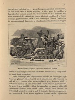 Bild der Seite - 41 - in Az Osztrák-Magyar Monarchia írásban és képben - Magyarország V (1), Band 18