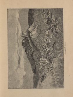 Bild der Seite - 213 - in Az Osztrák-Magyar Monarchia írásban és képben - Magyarország V (1), Band 18