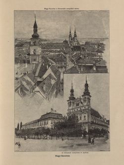 Image of the Page - 221 - in Az Osztrák-Magyar Monarchia írásban és képben - Magyarország V (1), Volume 18