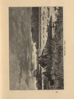 Bild der Seite - 235 - in Az Osztrák-Magyar Monarchia írásban és képben - Magyarország V (1), Band 18