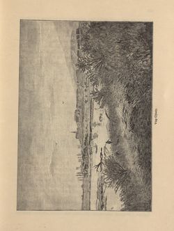 Image of the Page - 263 - in Az Osztrák-Magyar Monarchia írásban és képben - Magyarország V (1), Volume 18