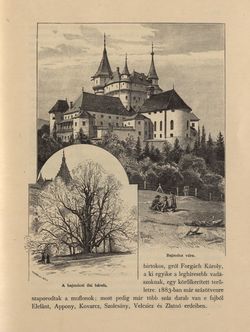 Bild der Seite - 277 - in Az Osztrák-Magyar Monarchia írásban és képben - Magyarország V (1), Band 18