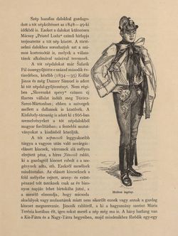 Image of the Page - 423 - in Az Osztrák-Magyar Monarchia írásban és képben - Magyarország V (1), Volume 18