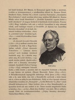 Image of the Page - 439 - in Az Osztrák-Magyar Monarchia írásban és képben - Magyarország V (1), Volume 18